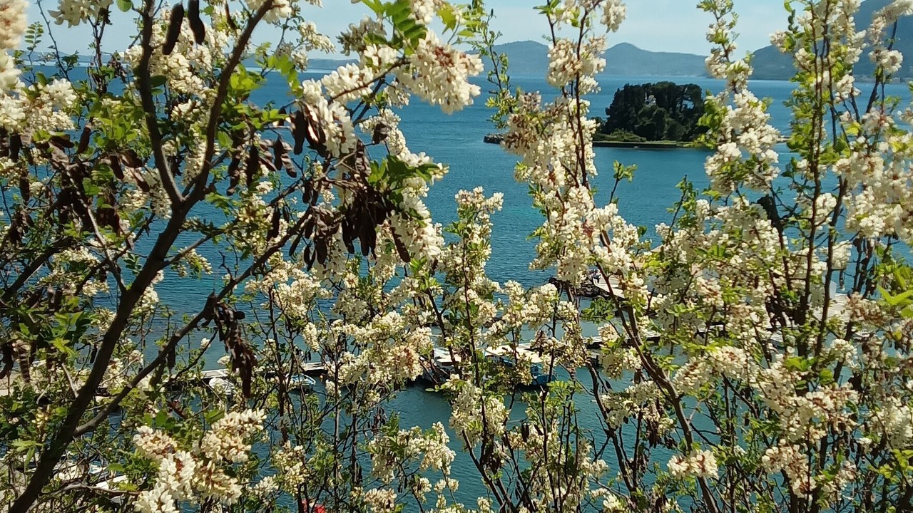 Photo of Others in Dafnata