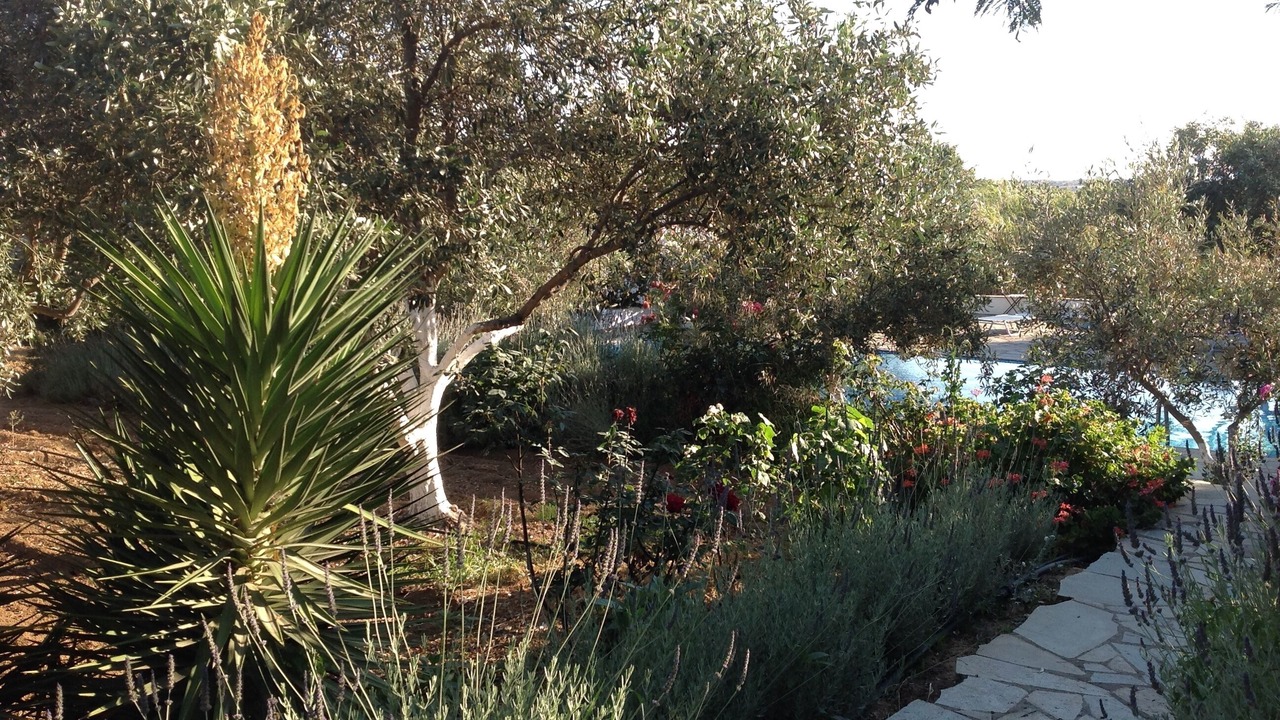 Photo of Outdoor in Glinado