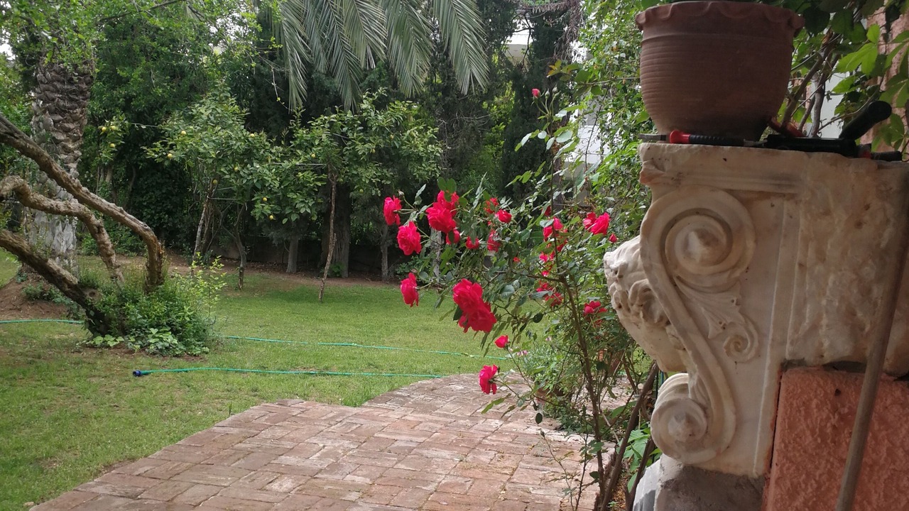 Photo of Outdoor in Chalandri