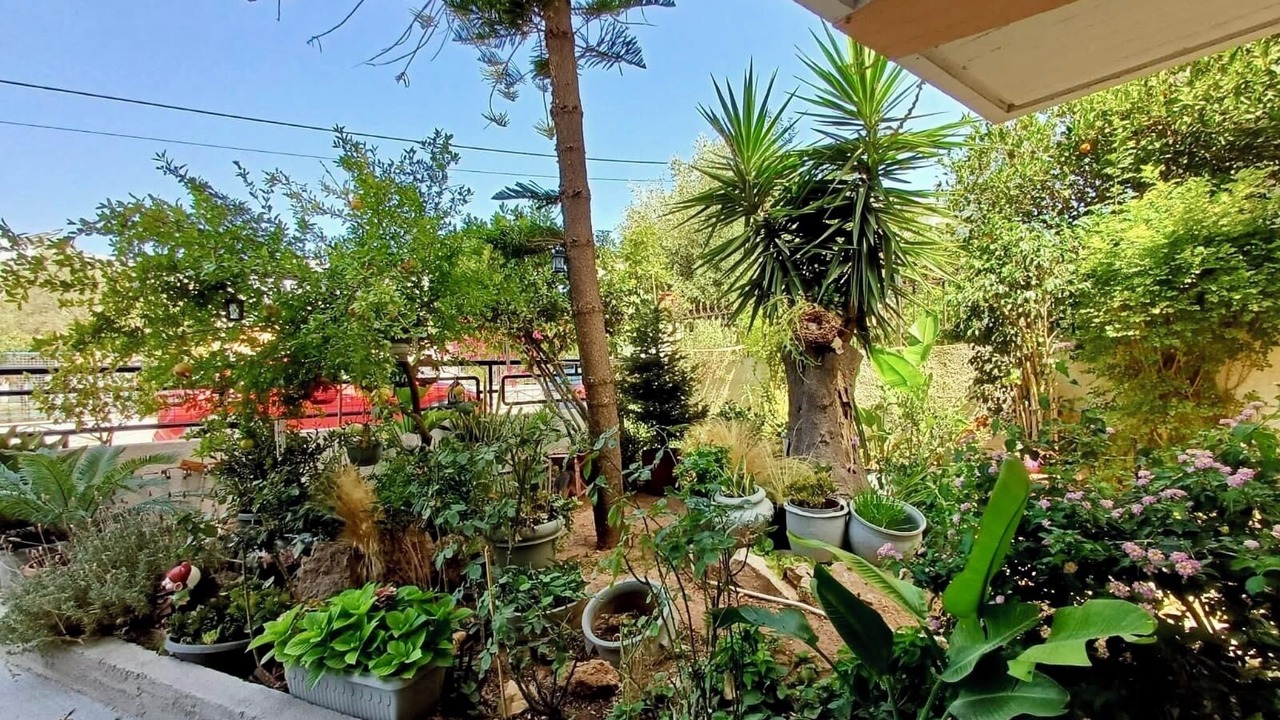 Photo of Outdoor in Voula