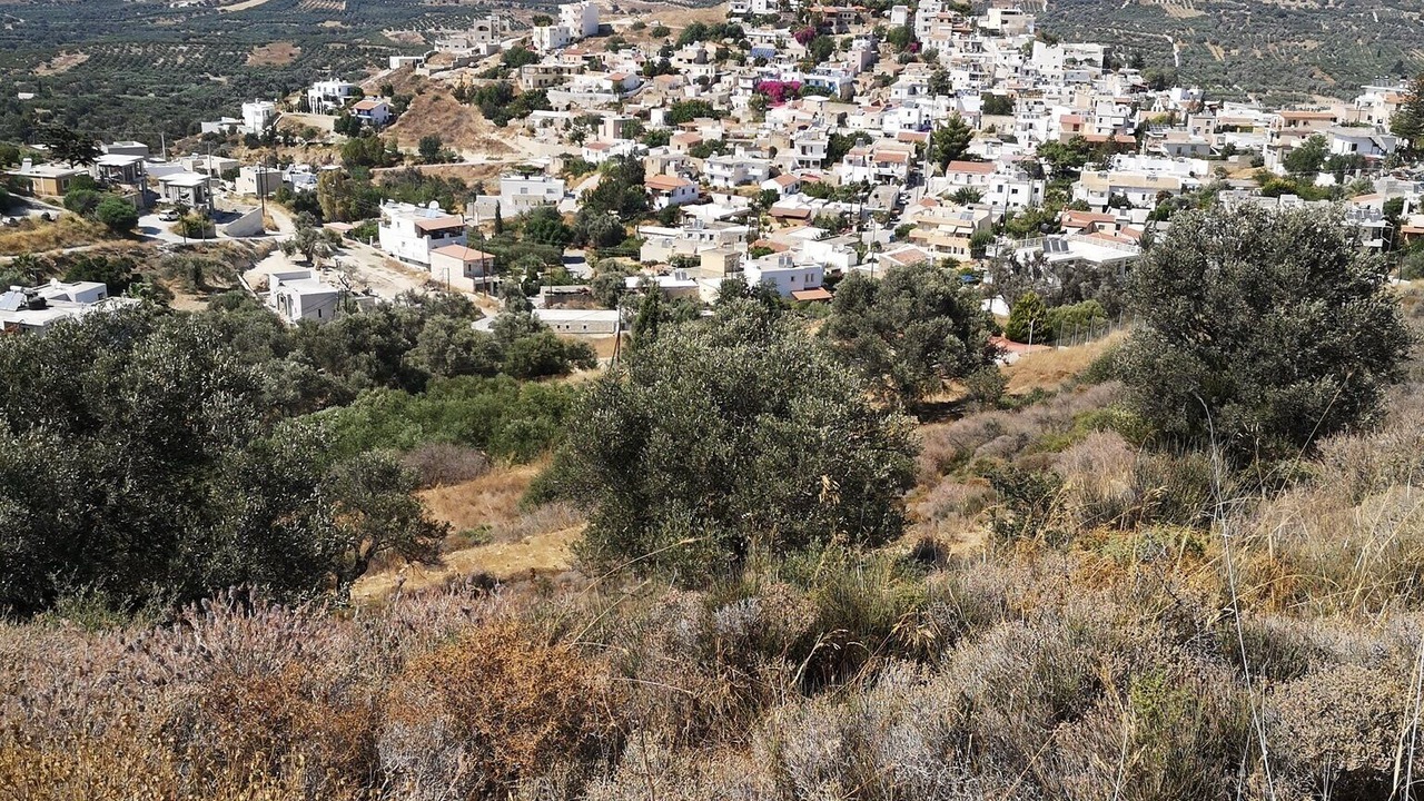 Photo of Others in Kamilari