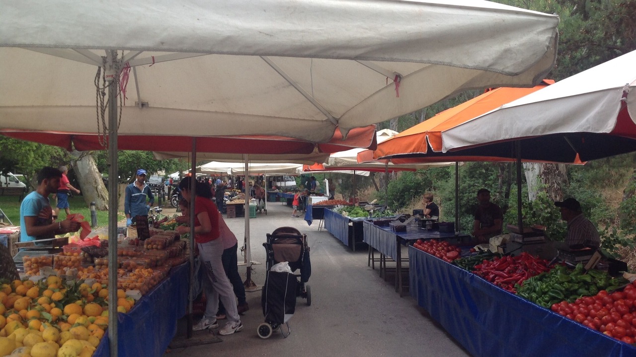 Photo of Outdoor in Filothei