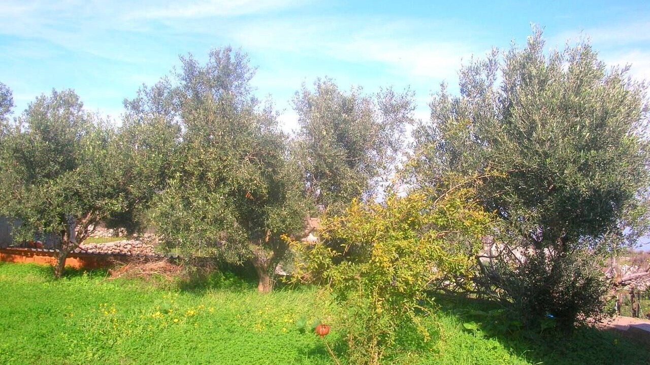 Photo of Others in Kefalas
