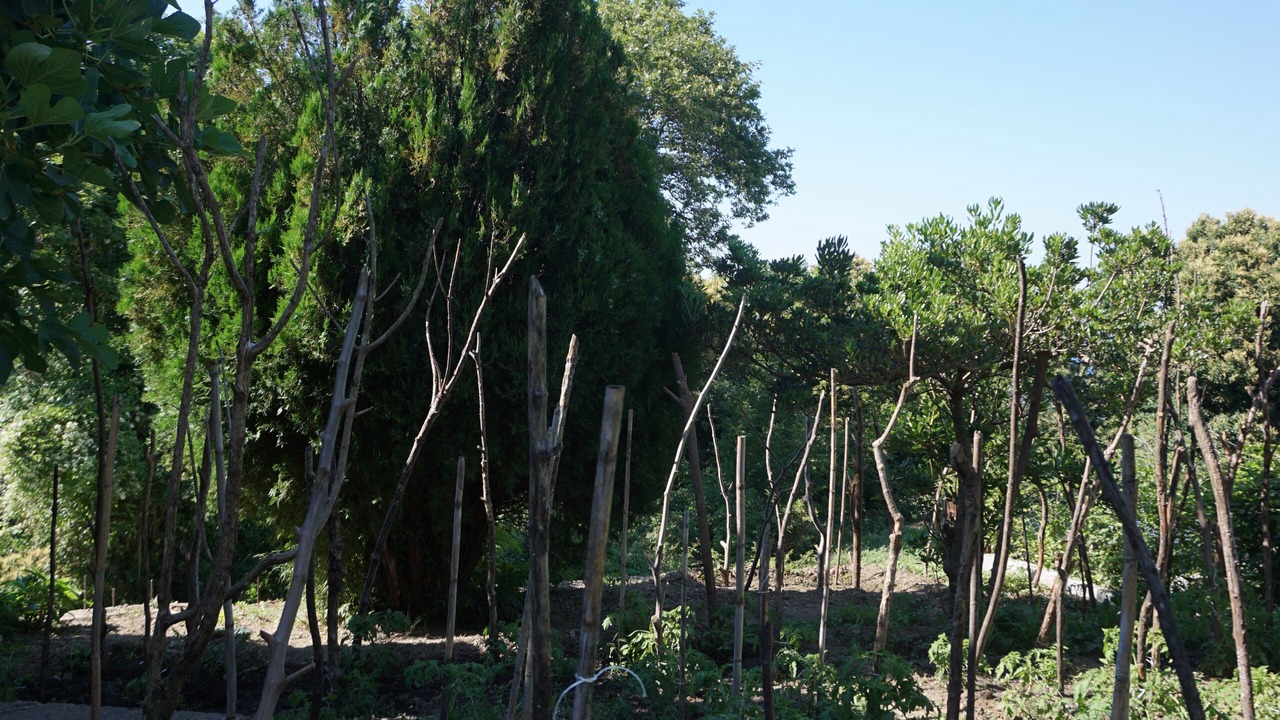 Photo of Outdoor in Tsagarada