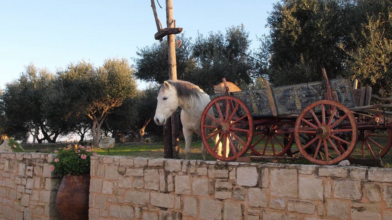 Photo of Outdoor in Platanias