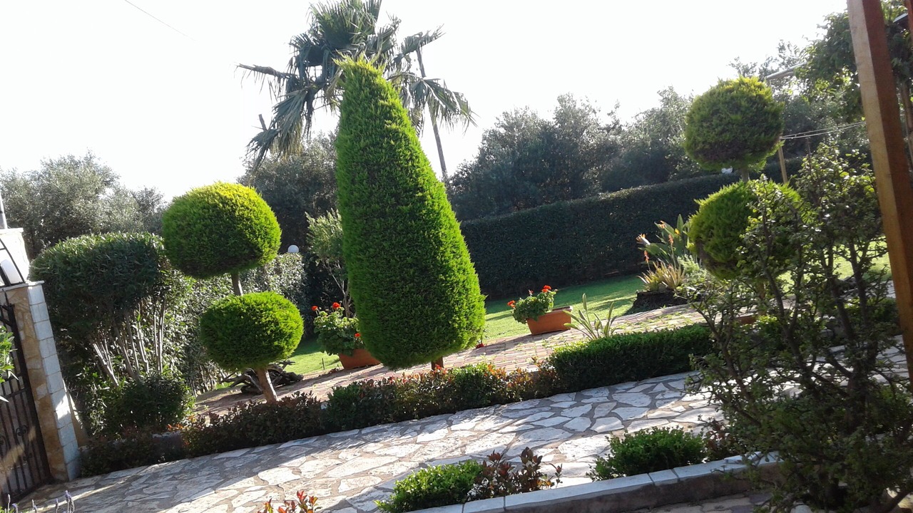 Photo of Outdoor in Vromonerion