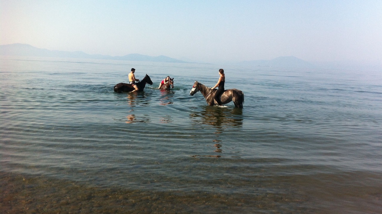 Photo of Others in Koropi