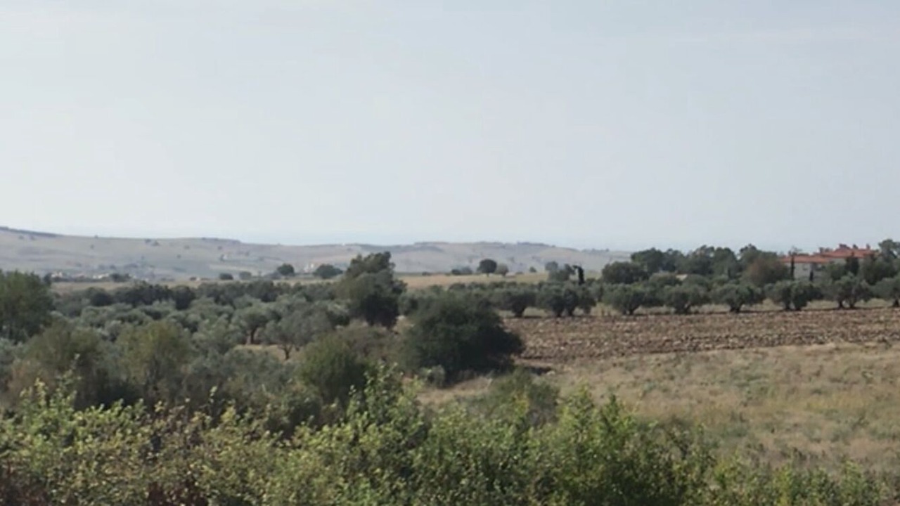 Photo of Outdoor in Trilofos