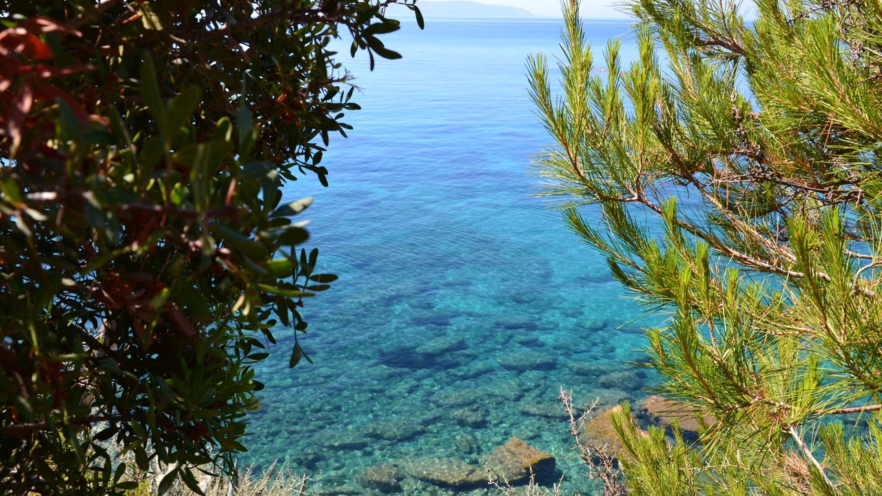 Photo of Others in Leivathos