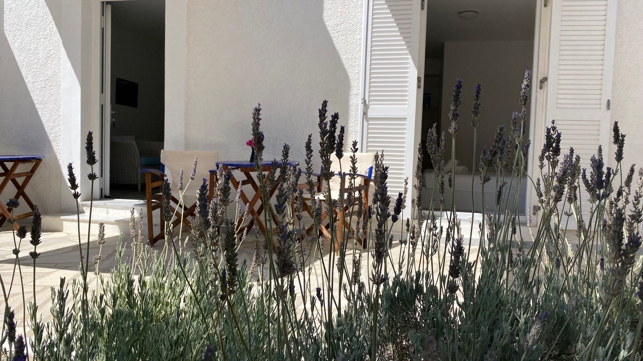 Photo of Outdoor in Aliki