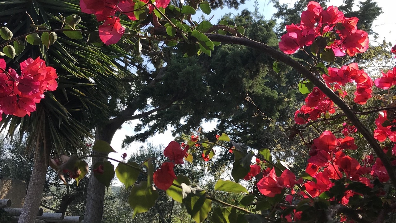 Photo of Outdoor in Kissamos