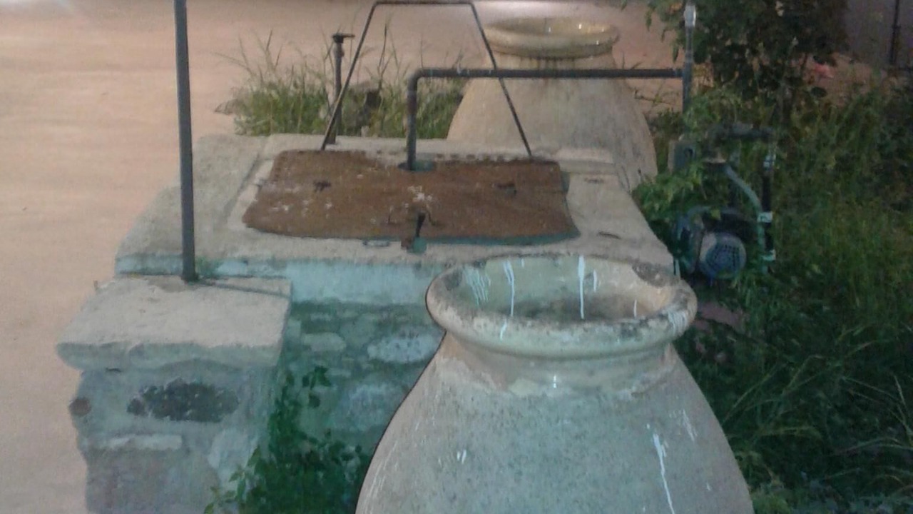 Photo of Others in Mytilene