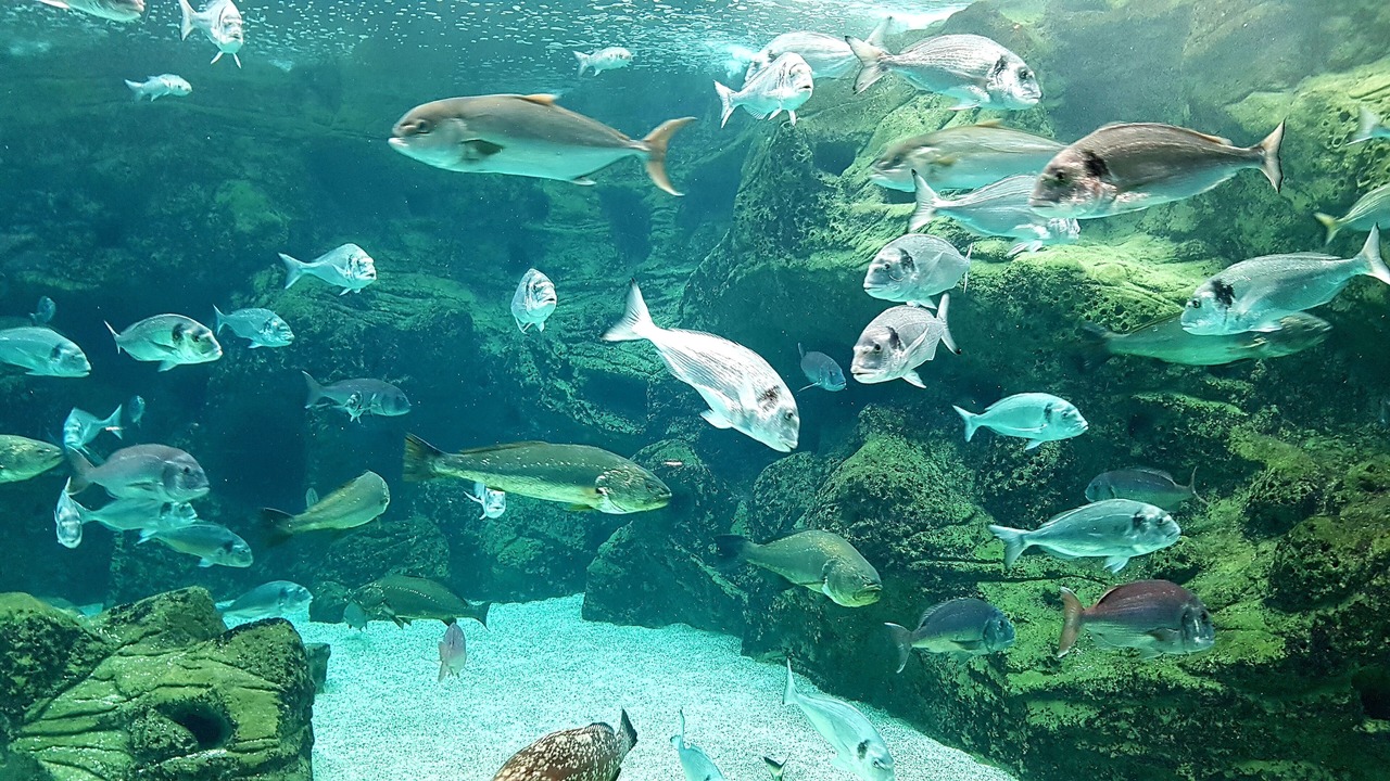 Photo of Outdoor in Karteros