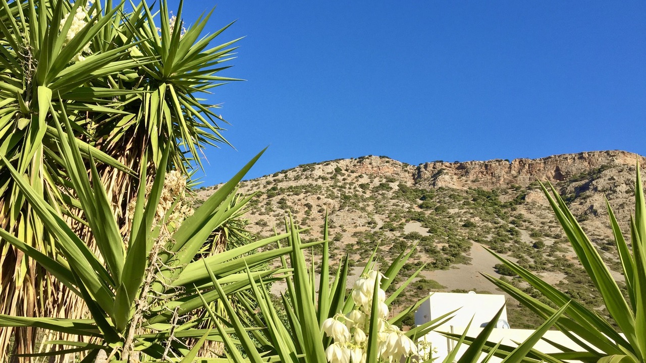 Photo of Outdoor in Elounda