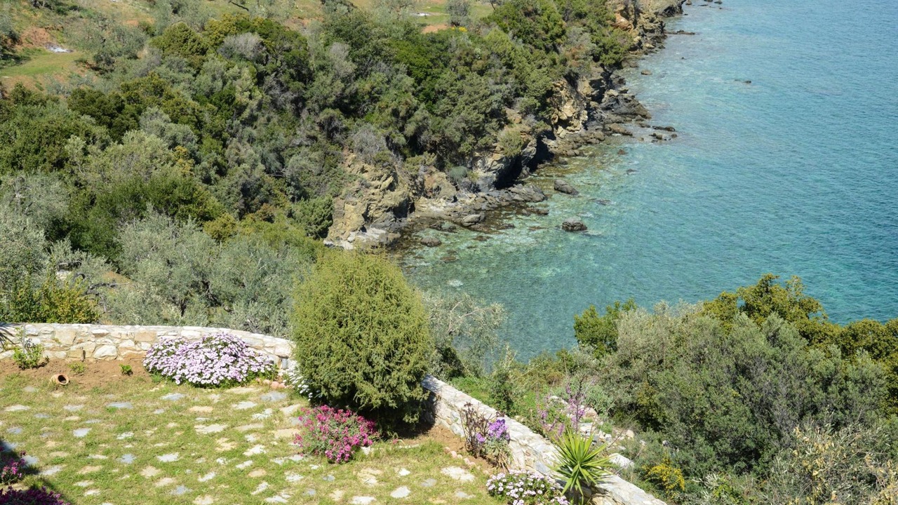 Photo of Others in Sourpi