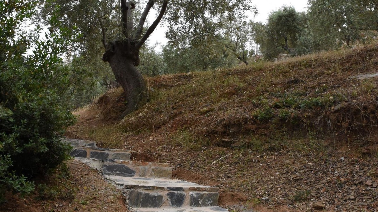 Photo of Outdoor in Sourpi