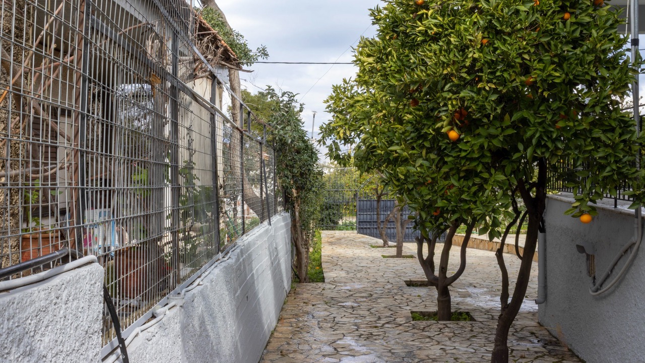 Photo of Outdoor in Kato Alepochori