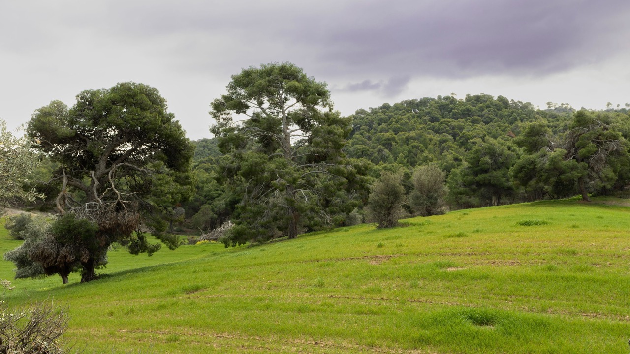 Photo of Others in Kato Alepochori