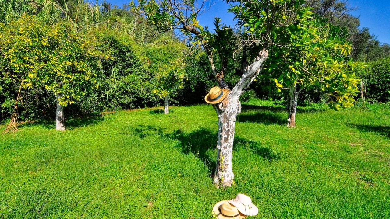 Photo of Outdoor in Molos