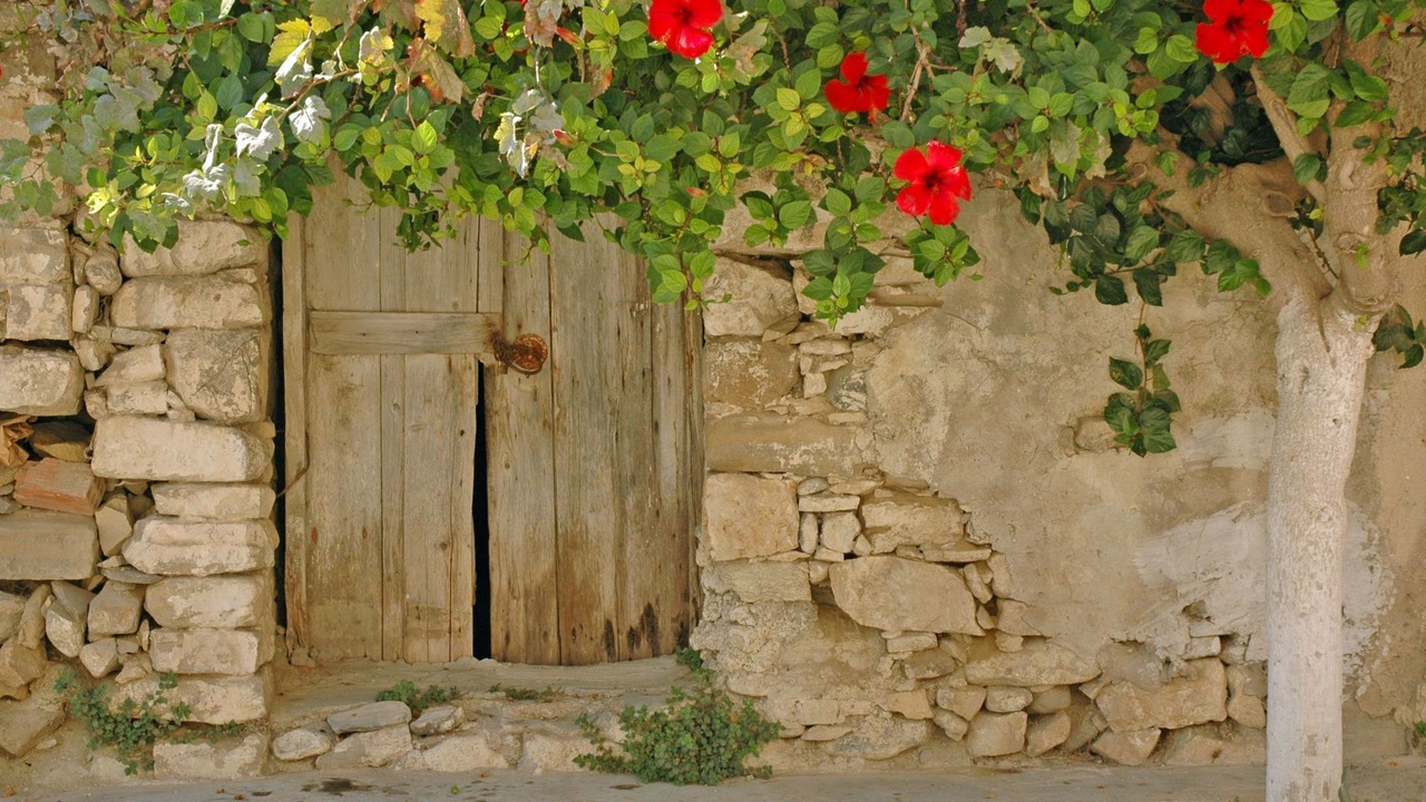 Photo of Others in Myrtos