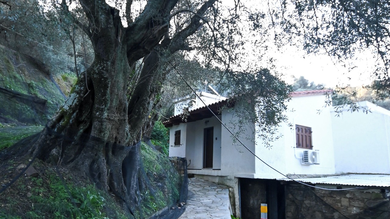 Photo of Outdoor in Plemeniana