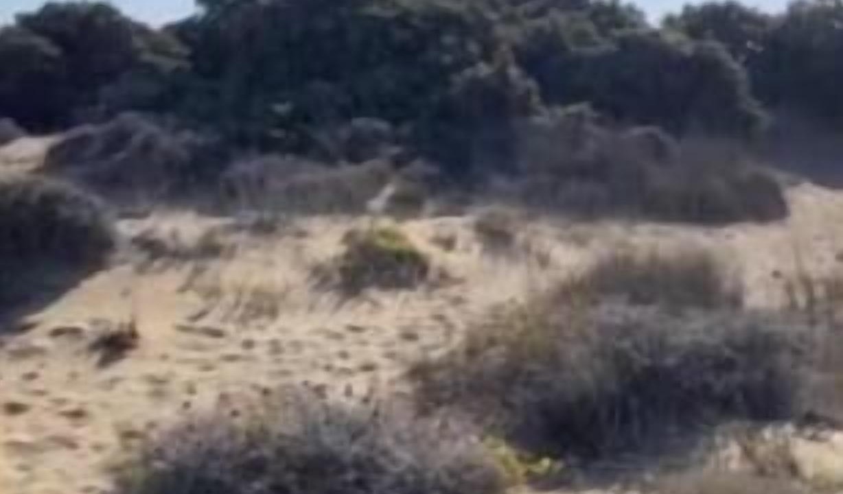 Photo of Others in Santa Maria