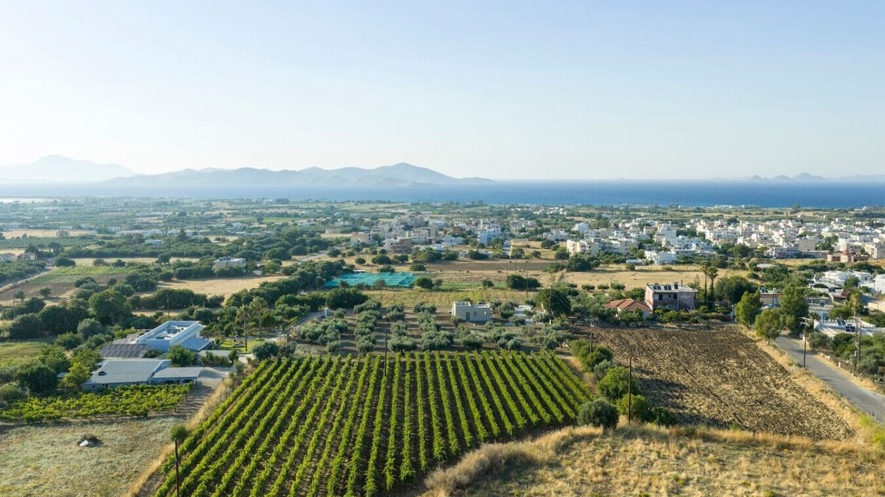 Photo of Outdoor in Zipari