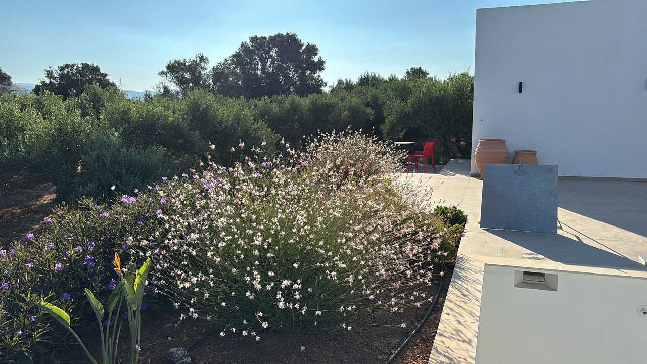 Photo of Outdoor in Kamilari