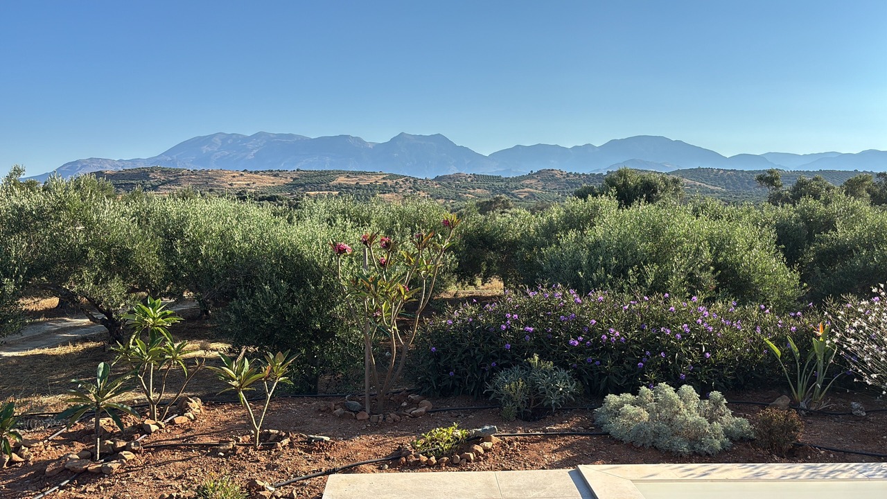 Photo of Outdoor in Kamilari