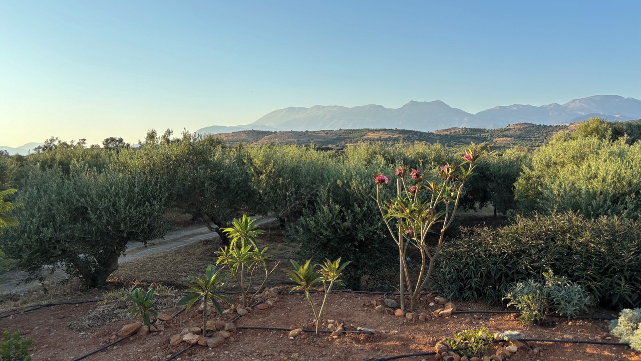 Photo of Outdoor in Kamilari
