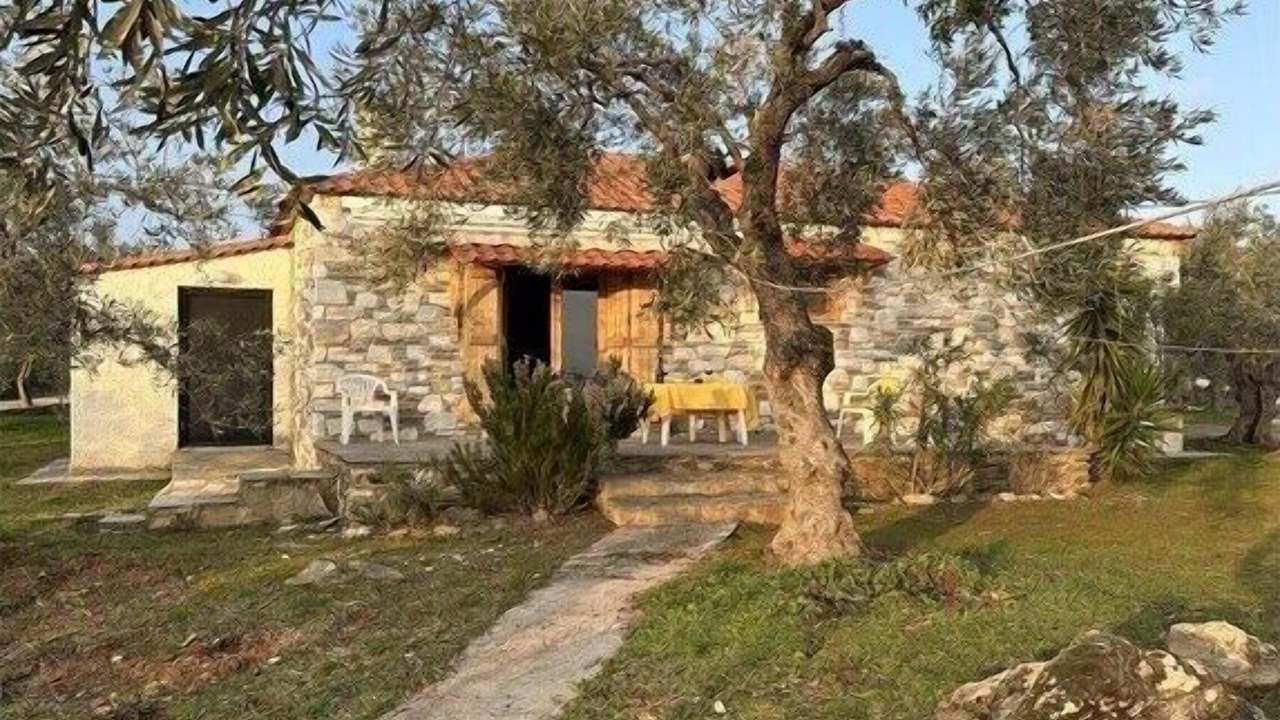 Photo of Others in Afissos