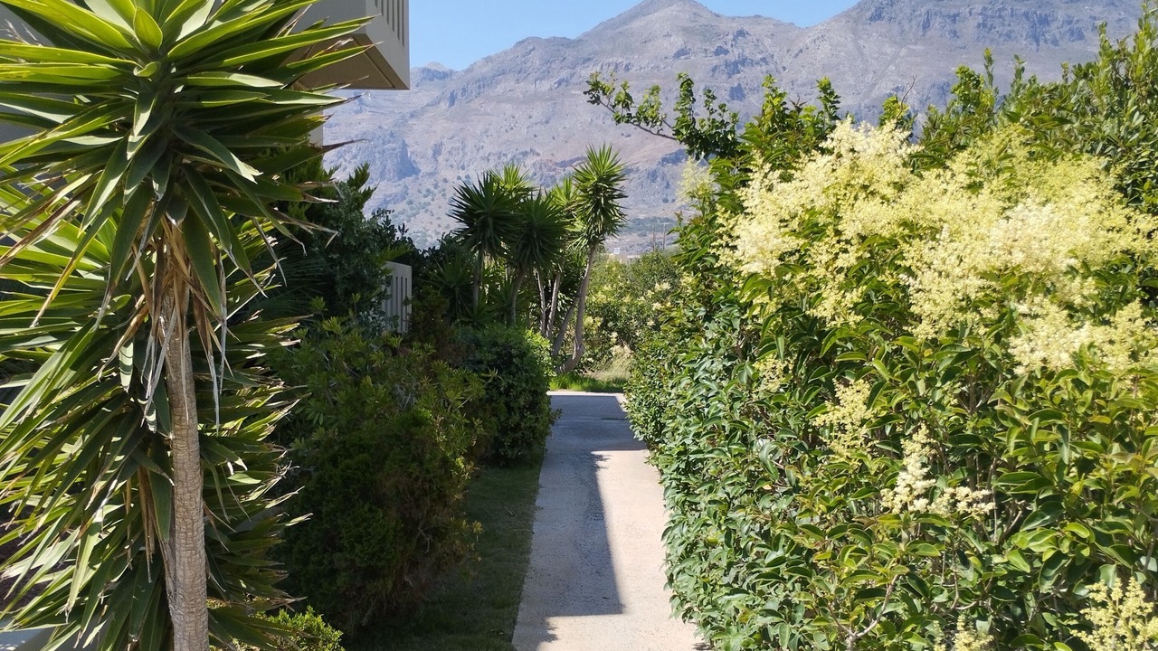 Photo of Outdoor in Fragkokastello