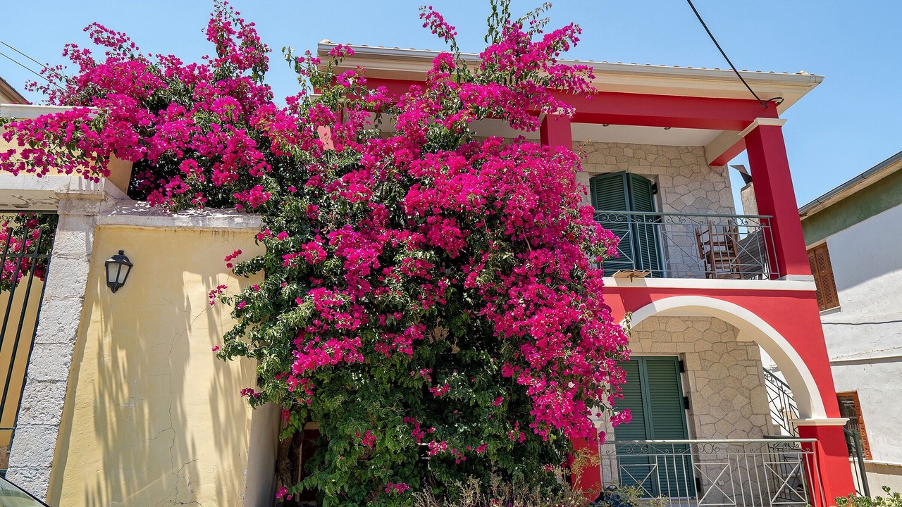 Photo of Outdoor in Katomerion