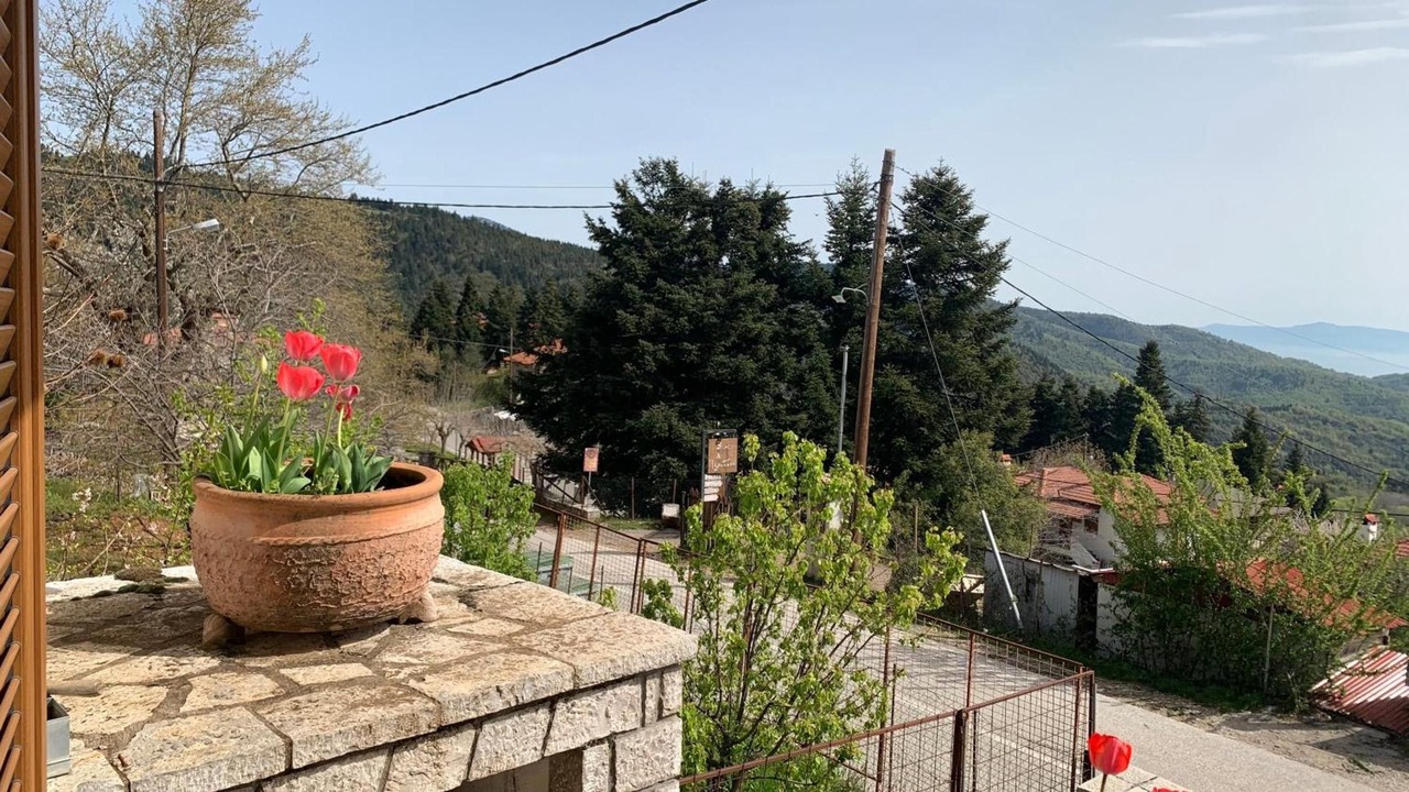 Photo of Outdoor in Lamia