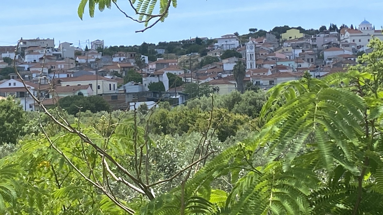 Photo of Others in Mitilinii