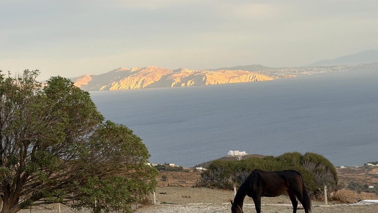 Photo of Others in Tinos