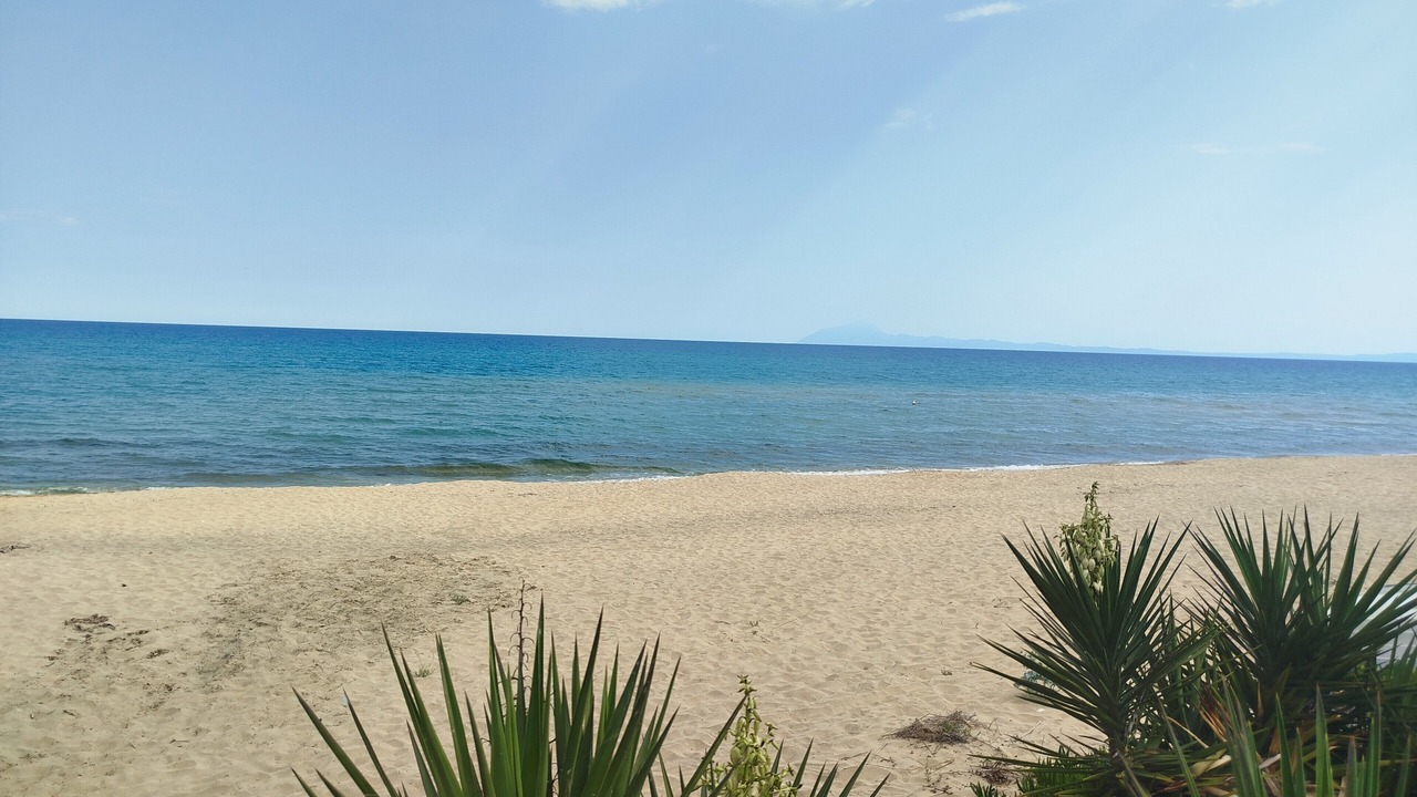 Photo of Others in Pangaio