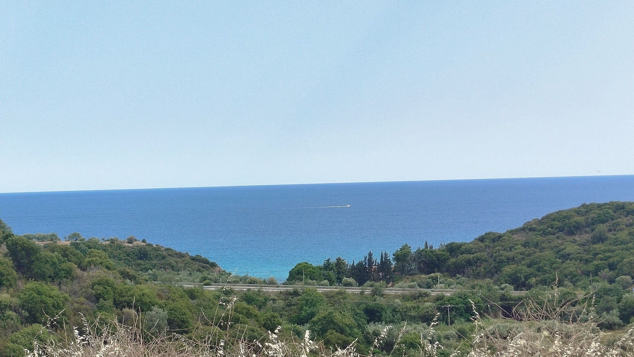 Photo of Others in Pangaio