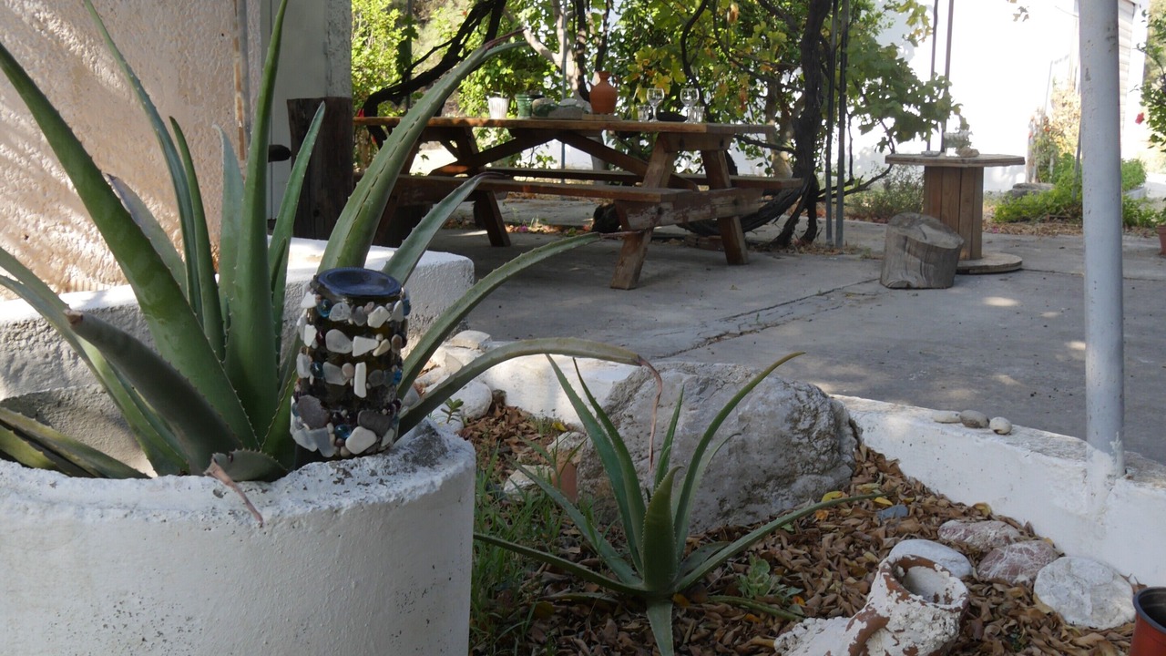 Photo of Outdoor in Kallithea