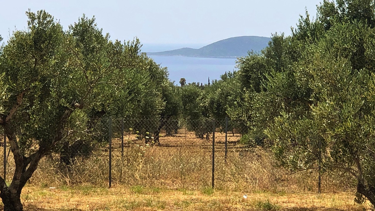 Photo of Others in Pylos-Nestoras