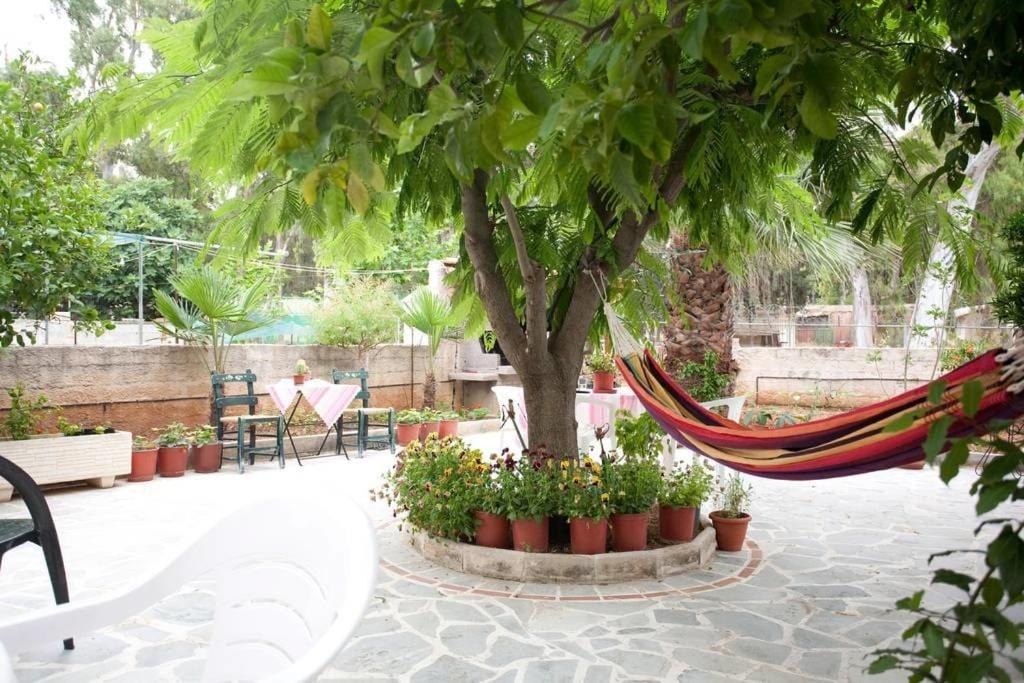 Photo of Others in Elliniko-Argyroupoli
