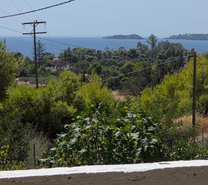 Photo of Others in Ermionida