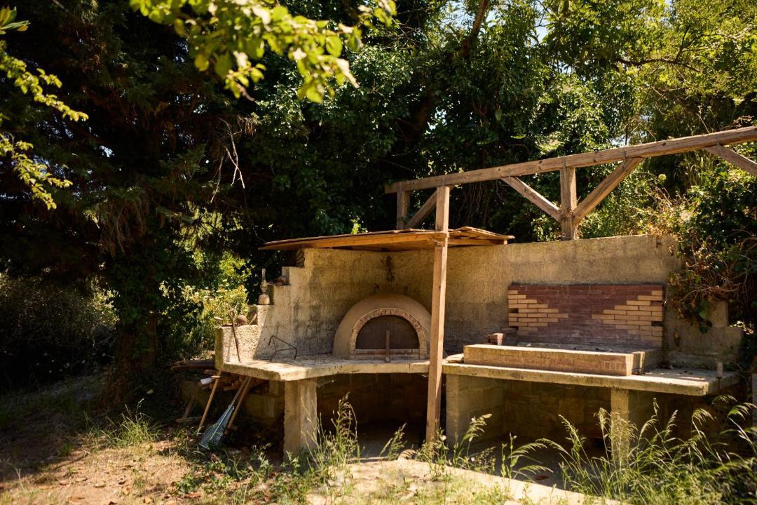Photo of Others in South Pelion