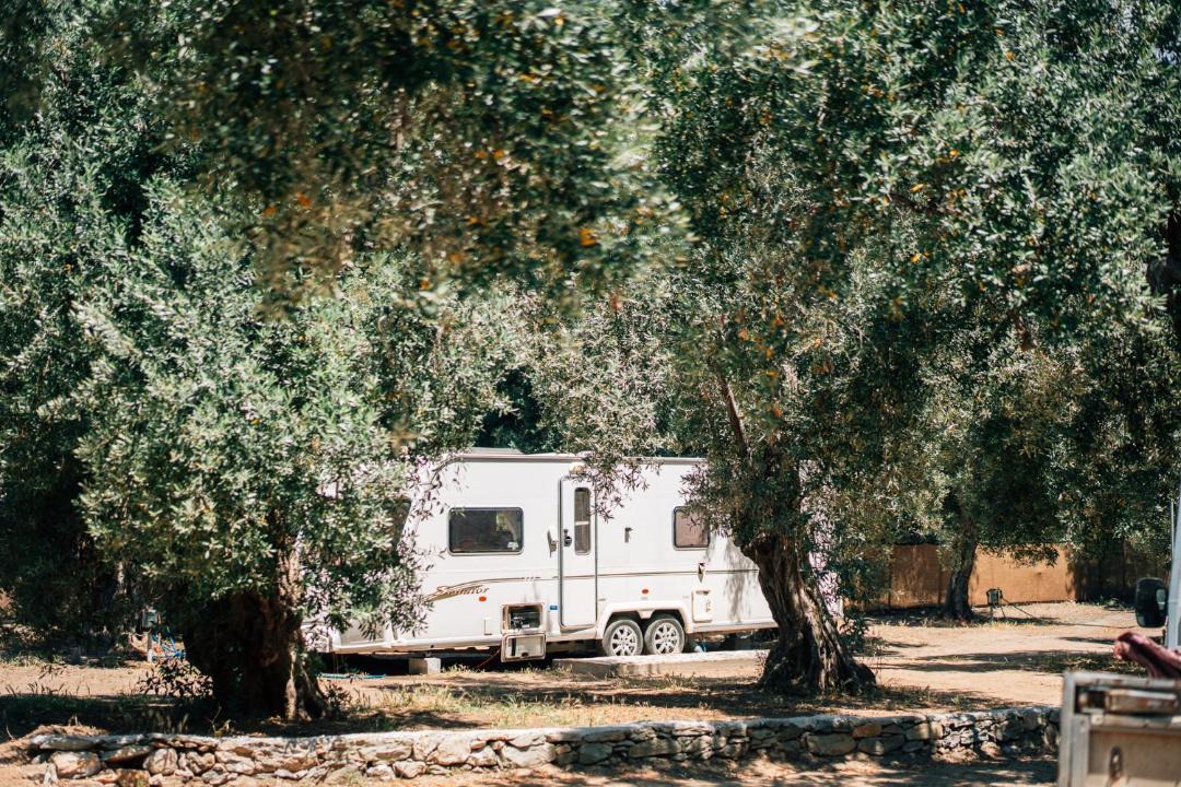 Photo of Others in Melinta