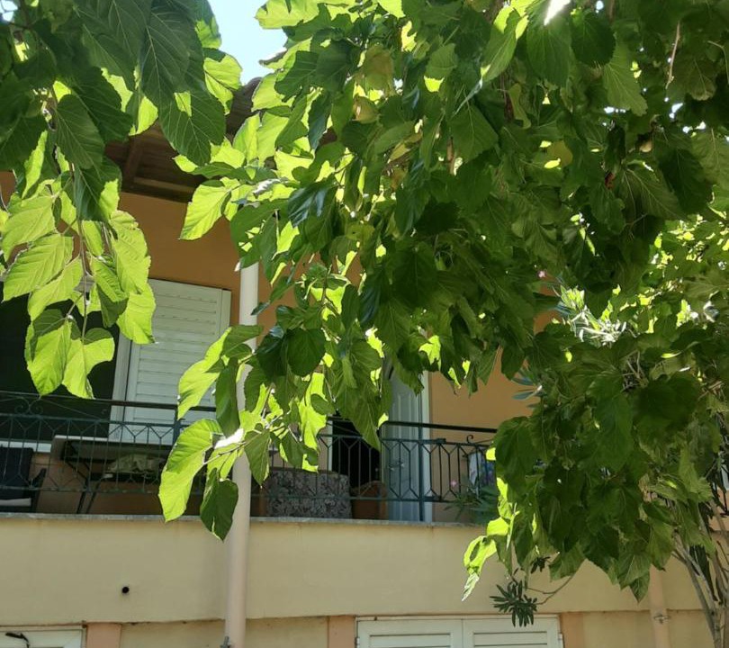 Photo of Others in Kremastos
