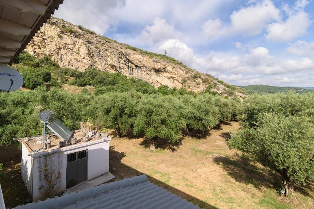 Photo of Others in Zakharo
