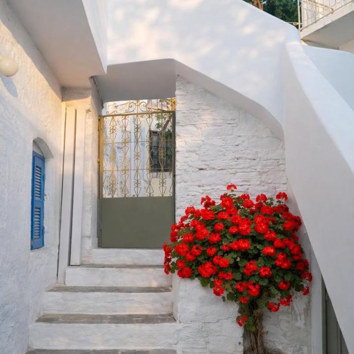 Photo of Others in Naxos