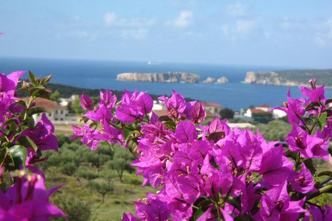 Photo of Others in Pylos