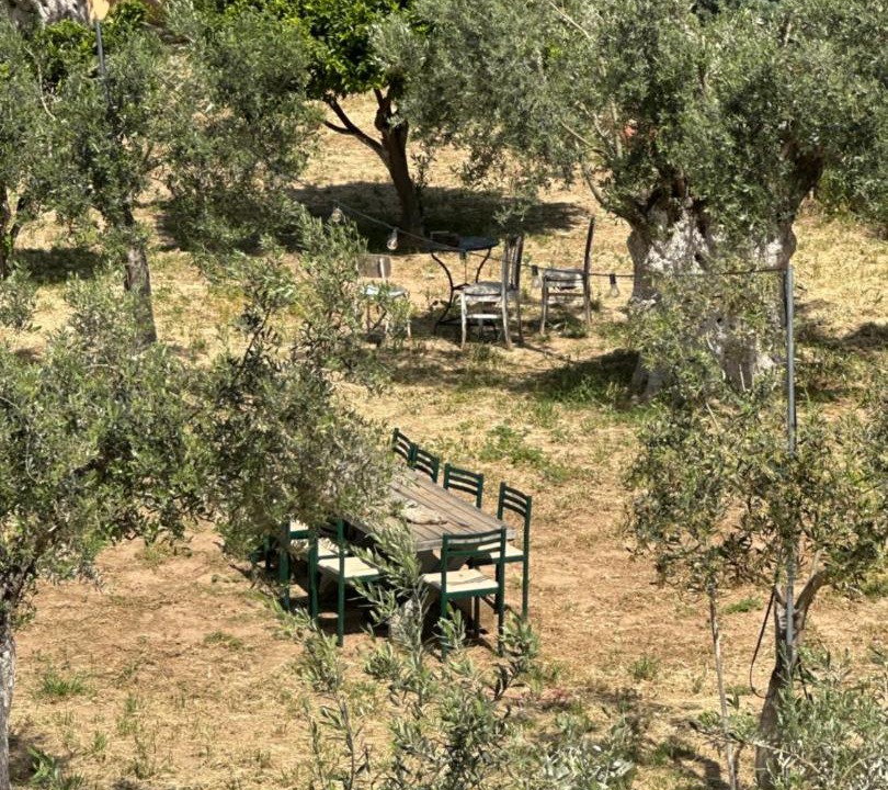 Photo of Others in Marathon