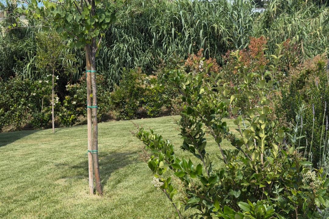 Photo of Outdoor in Kanoni